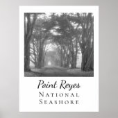 Point Reyes Poster (Voorkant)