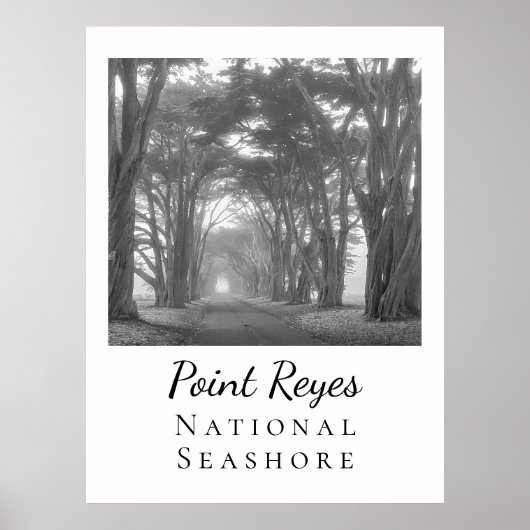 Point Reyes Poster (Voorkant)