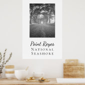 Point Reyes Poster (Keuken)