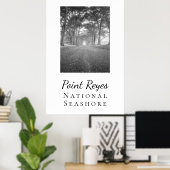 Point Reyes Poster (Thuiskantoor)
