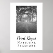 Point Reyes Poster (Voorkant)