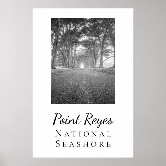 Point Reyes Poster (Voorkant)