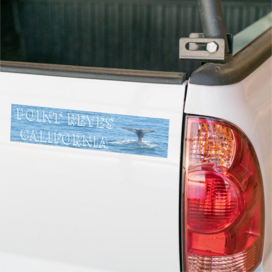 Point Reyes Whale Tail Bumpersticker (Op Truck)