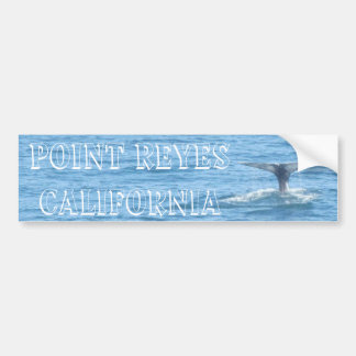 Point Reyes Whale Tail Bumpersticker