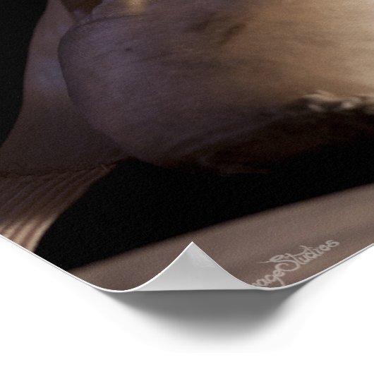 Pointe (ballet) schoenen poster (Hoek)