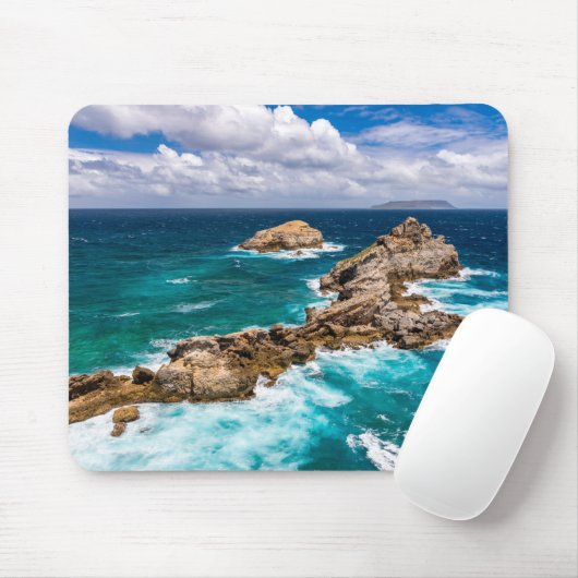 Pointe des Chateaux, Grande-Terre, Guadeloupe #2 Muismat (Met muis)