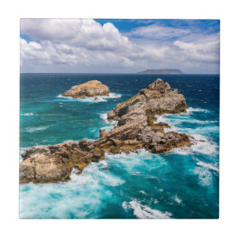 Pointe des Chateaux, Grande-Terre, Guadeloupe #2 Tegeltje