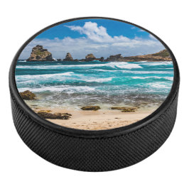 Pointe des Chateaux, Grande-Terre, Guadeloupe Hockey Puck
