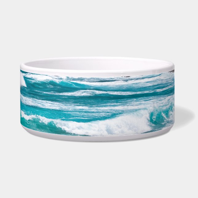 Pointe des Chateaux, Grande-Terre, Guadeloupe Voerbakje (Rechts)