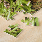 Pointed Long Nose Florida Softshell Turtle Legpuzzel (Zijkant)