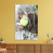 Pointer dog die tennisbal bijt, close-up canvas afdruk (Insitu (Woonkamer))