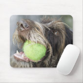 Pointer dog die tennisbal bijt, close-up muismat (Met muis)