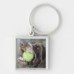 Pointer dog die tennisbal bijt, close-up sleutelhanger