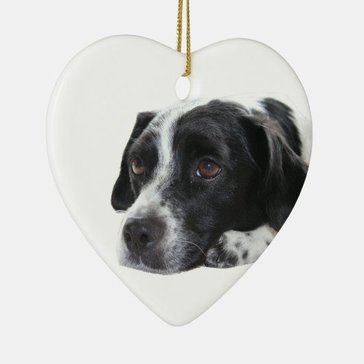 Pointer Dog Ornament (Rechts)