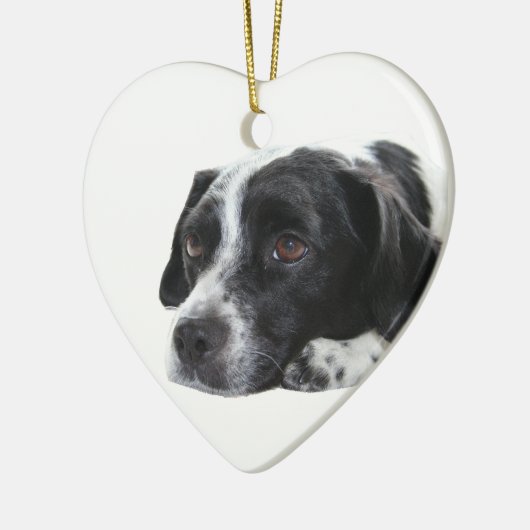 Pointer Dog Ornament (Links)