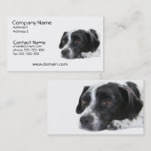 Pointer Dog Visitekaartje (Voorkant / Achterkant)