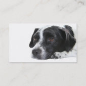 Pointer Dog Visitekaartje (Achterkant)