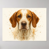 Pointer Dog Waterverf Portret Poster (Voorkant)