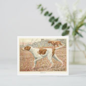 Pointer Dogs Postcard Briefkaart (Staand voorkant)