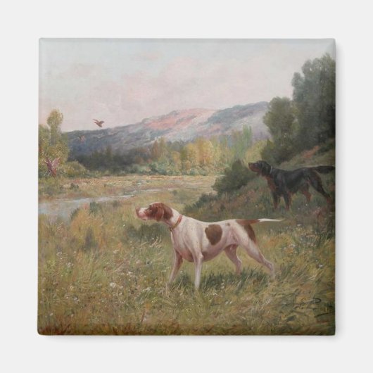 Pointer en Gordon Setter Square Magnet (Voorkant)