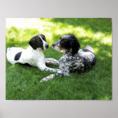 Pointer en Setter Love Poster (Voorkant)