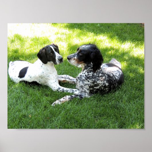 Pointer en Setter Love Poster (Voorkant)