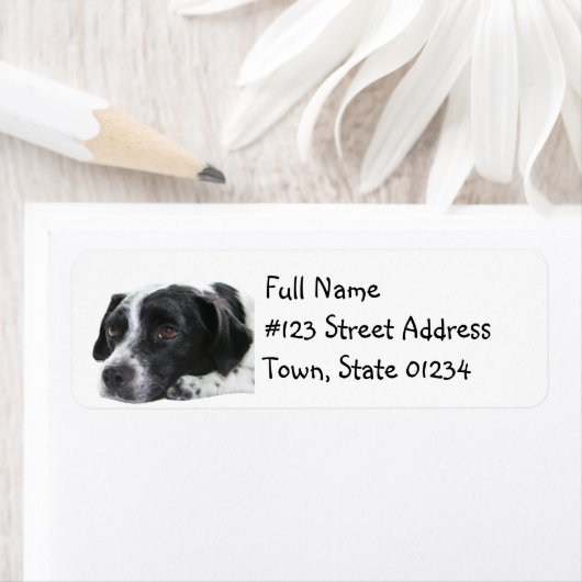 Pointer hond retour adreslabel etiket (Insitu)