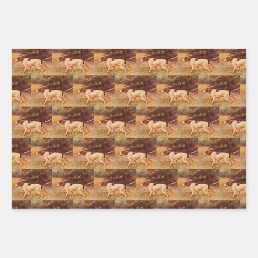 pointer Hunting Dog Sportsman Inpakpapier Vel (Voorkant 2)