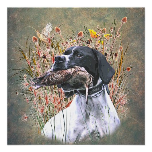 Pointer, Hunting Woodcock Perfect Poster (Voorkant)