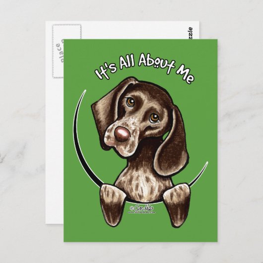 Pointer IAAM Briefkaart (Voorkant / Achterkant)