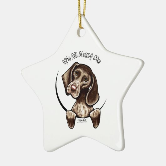 Pointer IAAM Keramisch Ornament (Links)