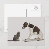 Pointer kijkt naar kat briefkaart (Voorkant / Achterkant)