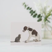 Pointer kijkt naar kat briefkaart (Staand voorkant)