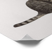 Pointer kijkt naar kat poster (Hoek)