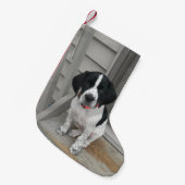 Pointer Love Kleine Kerstsok (Voorkant (Hangend))