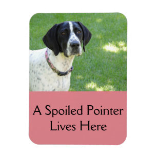 Pointer Love Magneet