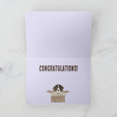 Pointer Puppy in Box Verjaardag Kaart (Binnen)