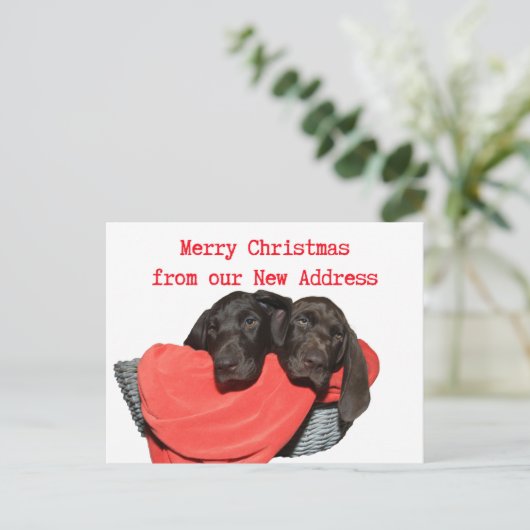 Pointer Sisters Nieuw kerstfeest Briefkaart (Staand voorkant)