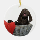 Pointer Zuster in een mandje Keramisch Ornament (Voorkant)