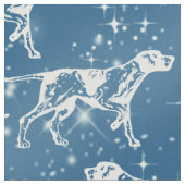 Pointers in de stars-structuur stof (Close Up)