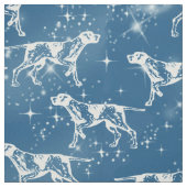 Pointers in de stars-structuur stof (Swatch)