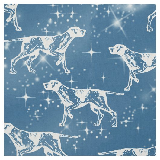 Pointers in de stars-structuur stof (Swatch)