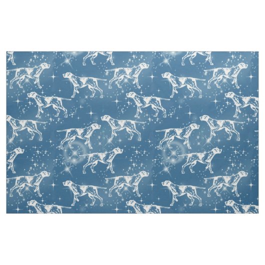 Pointers in de stars-structuur stof (Fat Quarter)