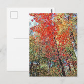 pointillistisch bos briefkaart (Voorkant / Achterkant)