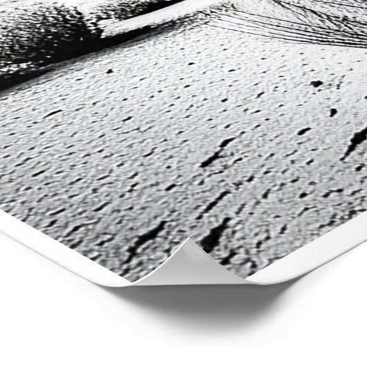 Pointing Cactus - Kunstdruk Poster (Hoek)