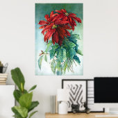 Pointsettias Waterverf Fine Art Print (Thuiskantoor)