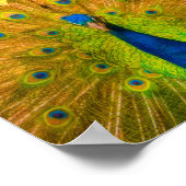 Poipu Sunrise, Kauai Hawaiian Collage Poster (Hoek)