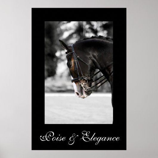 Poise & Elegance Poster (Voorkant)
