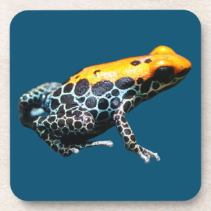 Poison Dart Frog Bier Onderzetter