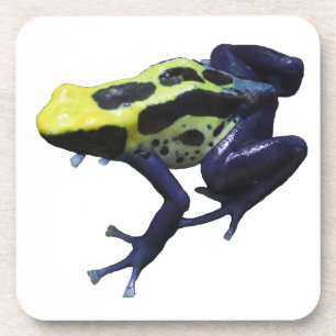 Poison Dart Frog Bier Onderzetter